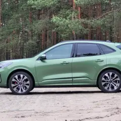 Zielony Ford Kuga Hybrid na tle sosnowego lasu. Elegancki SUV gotowy na przygodę.