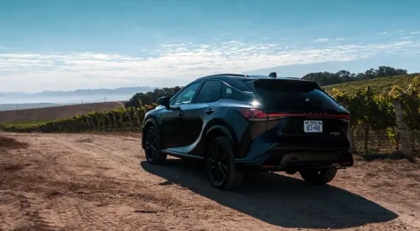 Czarny Lexus RX 400h na drodze wśród winnic, z mglistymi górami w tle.
